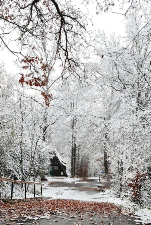 Het Uilennest In Durbuy Villa Buitenkant foto